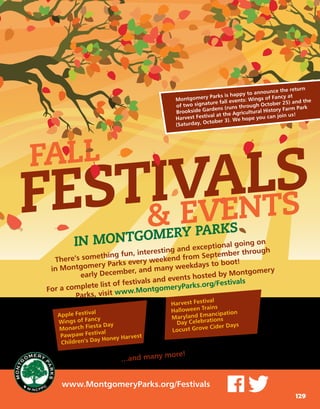 Brochure Inspiration: Spring 2016 Recreation