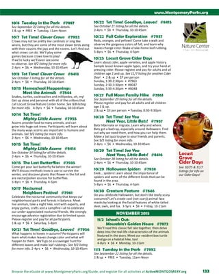 Brochure Inspiration: Spring 2016 Recreation