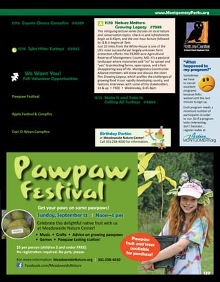 Brochure Inspiration: Spring 2016 Recreation