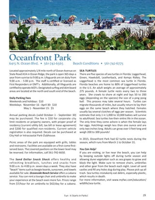 Brochure Inspiration: Spring 2016 Recreation