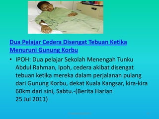Dua Pelajar Cedera Disengat Tebuan Ketika
Menuruni Gunung Korbu
• IPOH: Dua pelajar Sekolah Menengah Tunku
Abdul Rahman, Ipoh, cedera akibat disengat
tebuan ketika mereka dalam perjalanan pulang
dari Gunung Korbu, dekat Kuala Kangsar, kira-kira
60km dari sini, Sabtu.-(Berita Harian
25 Jul 2011)
HT309JUN2012DUP2

50

 