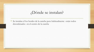 ¿Dónde se instalan?
• Se instalan el los bordes de la cancha pero habitualmente están todos
desordenados en el centro de la cancha
 