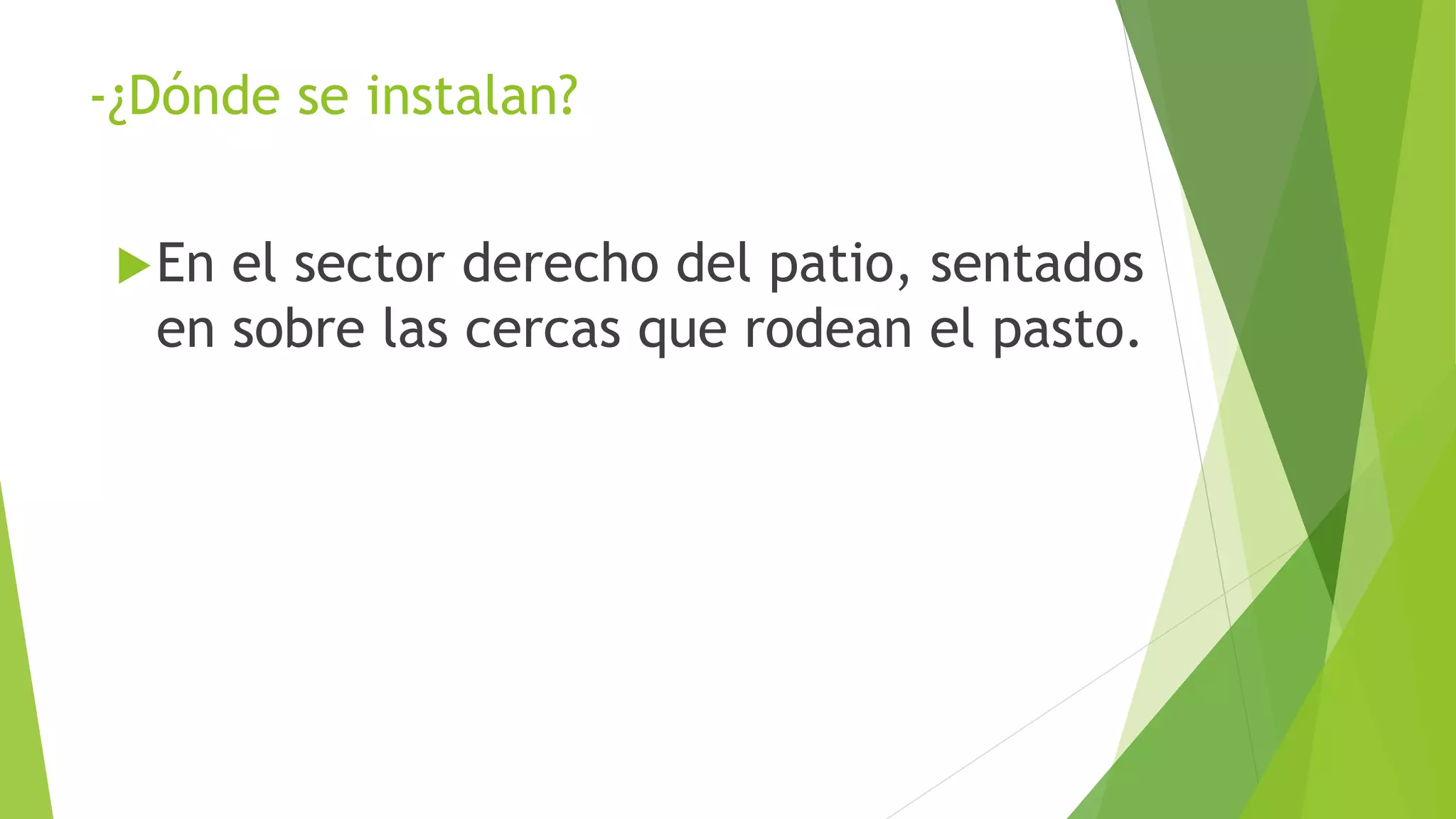 -¿Dónde se instalan?
En el sector derecho del patio, sentados
en sobre las cercas que rodean el pasto.
 