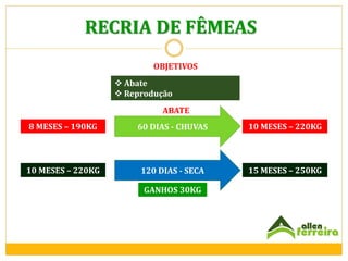 RECRIA DE FÊMEAS
OBJETIVOS
 Abate
 Reprodução
ABATE
8 MESES – 190KG

60 DIAS - CHUVAS

10 MESES – 220KG

10 MESES – 220KG

120 DIAS - SECA

15 MESES – 250KG

GANHOS 30KG

 
