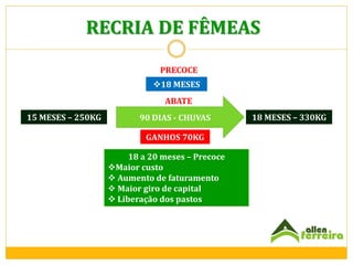 RECRIA DE FÊMEAS
PRECOCE

18 MESES
ABATE
15 MESES – 250KG

90 DIAS - CHUVAS
GANHOS 70KG
18 a 20 meses – Precoce
Maior custo
 Aumento de faturamento
 Maior giro de capital
 Liberação dos pastos

18 MESES – 330KG

 