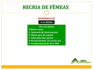 RECRIA DE FÊMEAS
SUPERPRECOCE

14 MESES
14 a 15 meses
Maior custo
 Aumento de faturamento
 Maior giro de capital
 Liberação dos pastos
 Encurtamento da recria 3m
 Confinamento de 60 a 90d

 