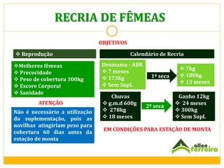 RECRIA DE FÊMEAS
OBJETIVOS
 Reprodução
Melhores fêmeas
 Precocidade
 Peso de cobertura 300kg
 Escore Corporal
 Sanidade
ATENÇÃO
Não é necessário a utilização
da suplementação, pois as
novilhas atingiriam peso para
cobertura 60 dias antes da
estação de monta

Calendário de Recria
Desmama - ABR
 7 meses
 173kg
 Sem Supl.
Chuvas
 g.m.d 600g
 278kg
 18 meses

1ª seca

2ª seca

 7kg
 180kg
 13 meses
Ganho 12kg
 24 meses
 300kg
 Sem Supl.

EM CONDIÇÕES PARA ESTAÇÃO DE MONTA

 