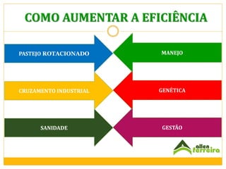 COMO AUMENTAR A EFICIÊNCIA
PASTEJO ROTACIONADO

MANEJO

CRUZAMENTO INDUSTRIAL

GENÉTICA

SANIDADE

GESTÃO

 