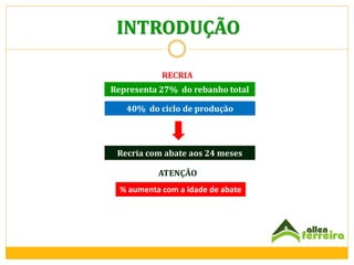 INTRODUÇÃO
RECRIA
Representa 27% do rebanho total

40% do ciclo de produção

Recria com abate aos 24 meses
ATENÇÃO
% aumenta com a idade de abate

 