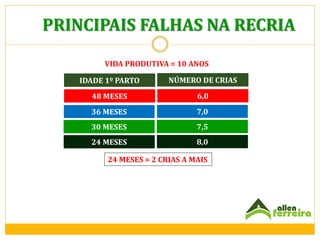 PRINCIPAIS FALHAS NA RECRIA
VIDA PRODUTIVA = 10 ANOS
IDADE 1º PARTO

NÚMERO DE CRIAS

48 MESES

6,0

36 MESES

7,0

30 MESES

7,5

24 MESES

8,0

24 MESES = 2 CRIAS A MAIS

 