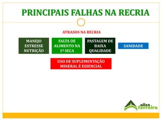 PRINCIPAIS FALHAS NA RECRIA
ATRASOS NA RECRIA
MANEJO
ESTRESSE
NUTRIÇÃO

FALTA DE
ALIMENTO NA
1ª SECA

PASTAGEM DE
BAIXA
QUALIDADE

USO DE SUPLEMENTAÇÃO
MINERAL É ESSENCIAL

SANIDADE

 