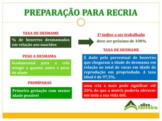 PREPARAÇÃO PARA RECRIA
TAXA DE DESMAME

1º índice a ser trabalhado

% de bezerros desmamados
em relação aos nascidos

deve ser próximo de 100%
TAXA DE DESMAME

PESO A DESMAMA
fundamental para a cria
atingir o quanto antes o peso
de abate
PRIMÍPARAS
Primeira gestação com menor
idade possível

É dado pelo percentual de bezerros
que chegaram a idade de desmama em
relação ao total de vacas em idade de
reprodução em propriedade. A taxa
ideal é de 97,5%.

uma cria a mais pode significar até
20% do que a matriz poderia oferecer
em toda a sua vida útil.

 