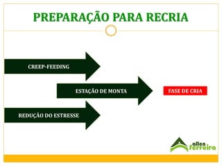 PREPARAÇÃO PARA RECRIA

CREEP-FEEDING

ESTAÇÃO DE MONTA

REDUÇÃO DO ESTRESSE

FASE DE CRIA

 