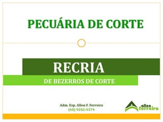 PECUÁRIA DE CORTE

RECRIA
DE BEZERROS DE CORTE

Adm. Esp. Allen F. Ferreira
(68) 9202-0374

 