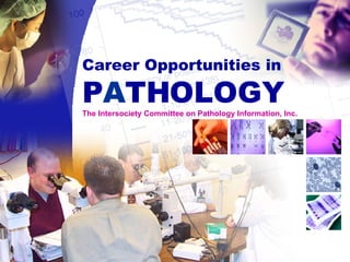 Career Opportunities in P A THOLOGY The Intersociety Committee on Pathology Information, Inc. 