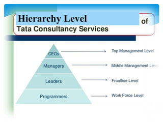Hierarchy Level
 