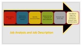 Select job to
study
Determine
information
needed
Identify
Sources of data
Determine the
methods of
data collection
Evaluate and
verify data
Use data to
begin the
process of
writing the
analysis, then
job description
 