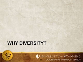 Why diversity?