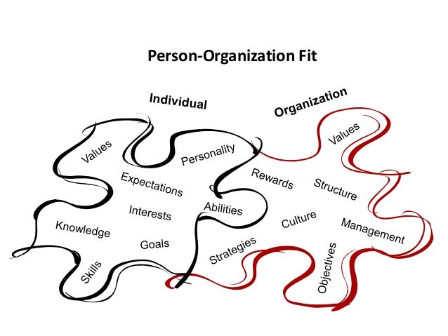person organization fit