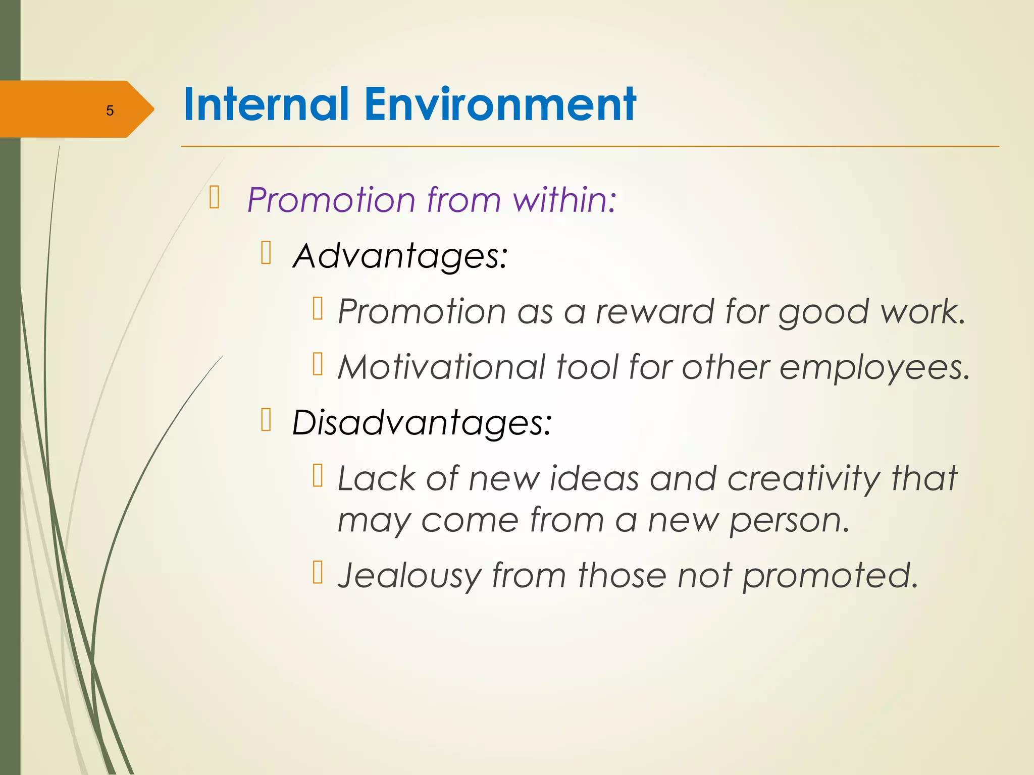 Internal Environment
 Promotion from within:
 Advantages:
 Promotion as a reward for good work.
 Motivational tool for other employees.
 Disadvantages:
 Lack of new ideas and creativity that
may come from a new person.
 Jealousy from those not promoted.
5
 