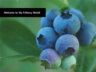 Welcome to the Friberry World
 
