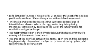 • Lung pathology in ARDS is not uniform. CT chest of these patients in supine
position shows three different lung areas with variable involvement.
• The most dorsal dependent area shows significant collapse due to
interstitial and alveolar edema. this aggravates lung injury during
mechanical ventilation by decreasing the size of the lung available for
ventilation and gas exchange.
• The most ventral region is the normal open lung which gets overinflated
causing volutrauma and barotrauma.
• The area at the interface between the normal open lung and the atelecatic
lung is partially collapsed and is subjected to shear stress by cyclical tidal
recruitment and derecruitment
 