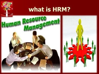 what is HRM?
 