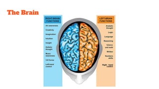 The Brain
 