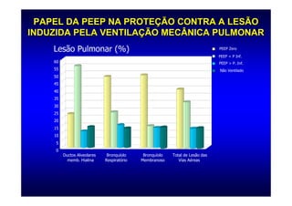 PAPEL DA PEEP NA PROTEÇÃO CONTRA A LESÃO
INDUZIDA PELA VENTILAÇÃO MECÂNICA PULMONAR
    Lesão Pulmonar (%)                                                           PEEP Zero

                                                                                 PEEP < P Inf.
    60                                                                           PEEP > P. Inf.
    55                                                                           Não Ventilado
    50
    45
    40
    35
    30
    25
    20
    15
    10
     5
     0
         Ductos Alveolares -    Bronquíolo     Bronquíolo   Total de Lesão das
           memb. Hialina       Respiratório   Membranoso       Vias Aéreas
 