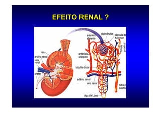 EFEITO RENAL ?
 