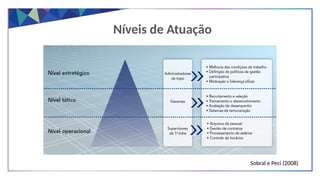 Níveis de Atuação
Sobral e Peci (2008)
 