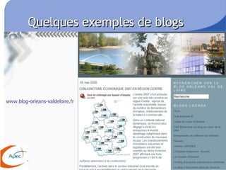 Quelques exemples de blogs www.blog-orleans-valdeloire.fr 