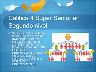 Califica 4 Súper Sénior en Segundo nivelSi calificas 4 Consultores Súper Sénior en segundo Nivel, logras crear la estructura para que tus dos Súper Sénior de Primer Nivel suban a SUB GERENTE INDEPENDIENTE, lo cual indica que con esa estructura tu calificas a GERENTE INDEPENDIENTE.