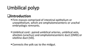 Umbilical polyp
Introduction
Firm masses comprised of intestinal epithelium or
uroepithelium, which are omphalomesenteric or urachal
embryologic remnants.
Umbilical cord : paired umbilical arteries, umbilical vein,
allantois (urachus) and omphalomesenteric duct (OMD) or
vitelline duct (VD).
Connects the yolk sac to the midgut.
 