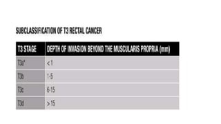 rectal cancer 2024 management guidelines