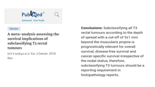 rectal cancer 2024 management guidelines