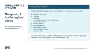 rectal cancer 2024 management guidelines