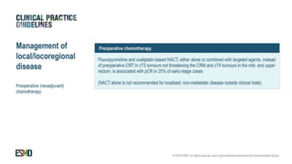 rectal cancer 2024 management guidelines