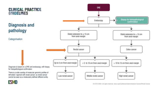 rectal cancer 2024 management guidelines