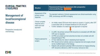 rectal cancer 2024 management guidelines