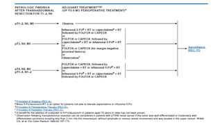 rectal cancer 2024 management guidelines