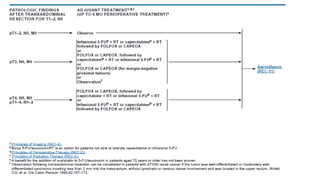 rectal cancer 2024 management guidelines