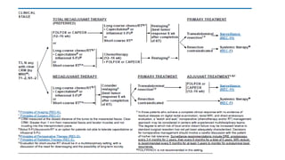 rectal cancer 2024 management guidelines