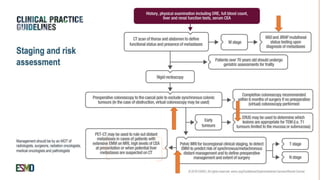 rectal cancer 2024 management guidelines