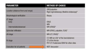 rectal cancer 2024 management guidelines