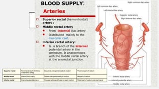 Rectate Clot Rectal cancer | PPTX