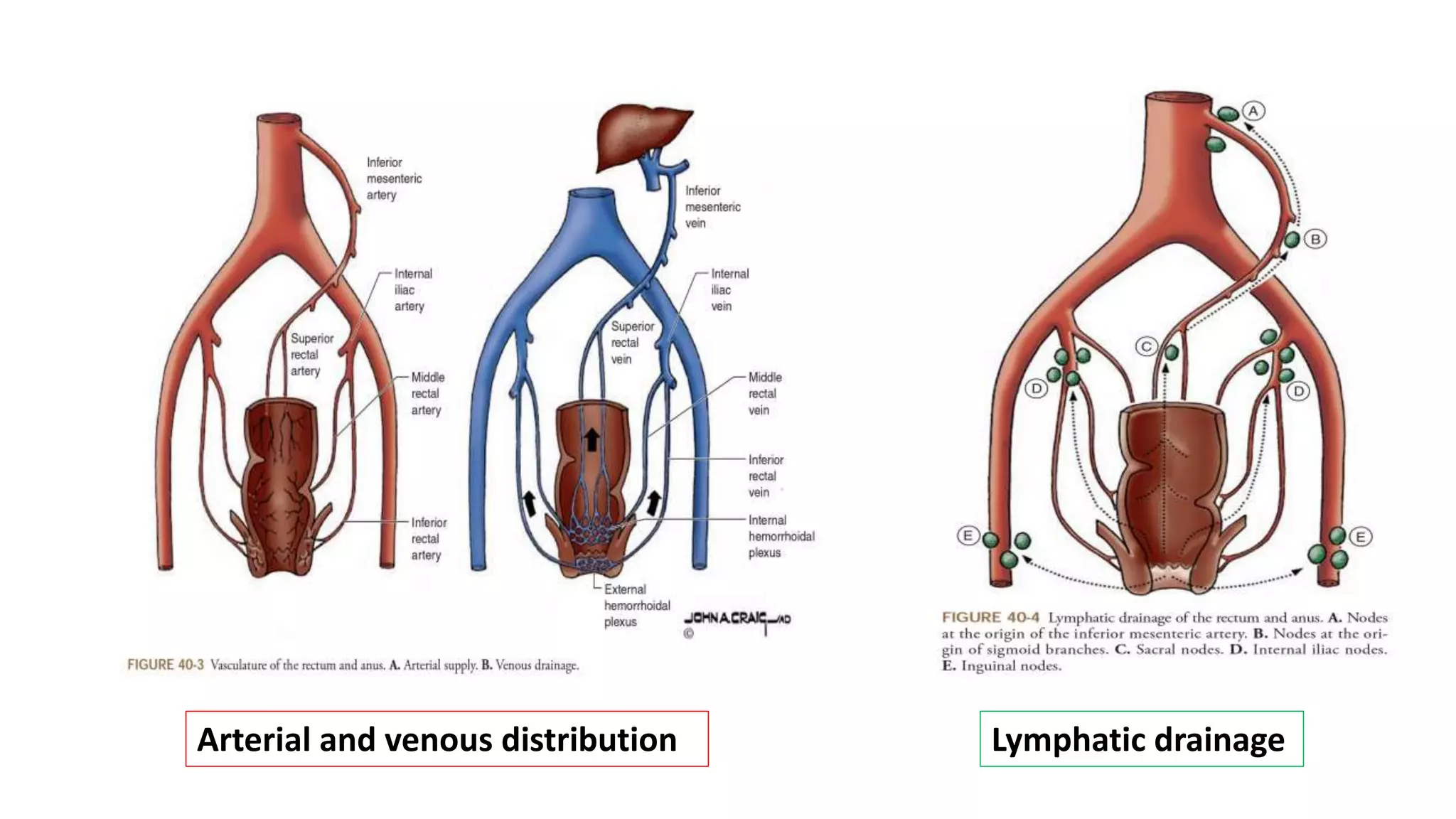 Rectate Clot Rectal Carcinoma | PPTX