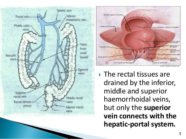 Rectal drugs