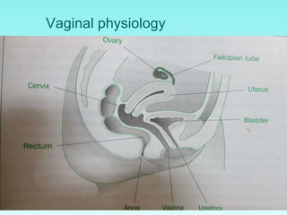 Vaginal physiology
 