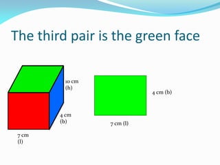 The third pair is the green face
10 cm
(h)
4 cm
(b)
7 cm
(l)
7 cm (l)
4 cm (b)